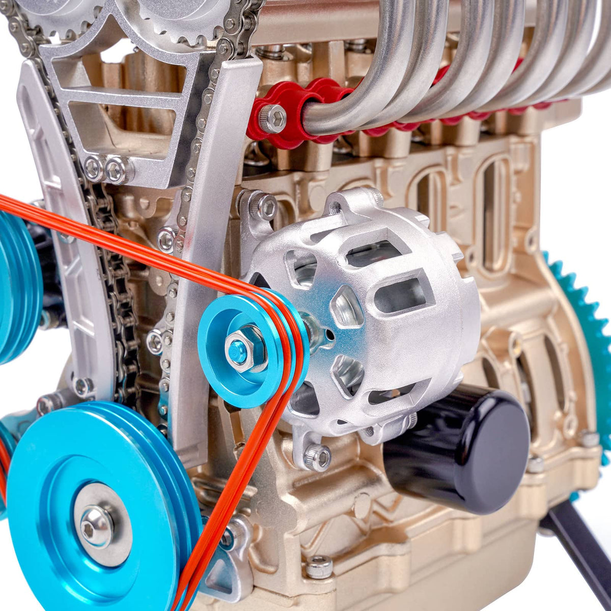 A3000277_new_gallery11_1200x.