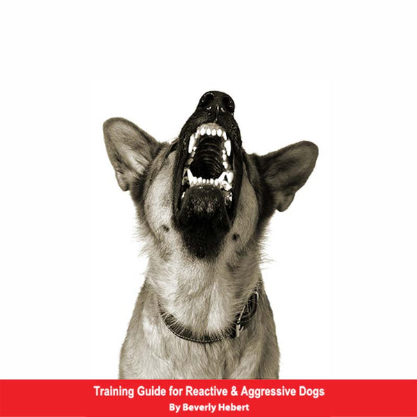 Training Guide for Reactive & Aggressive Dogs E-Book – Pet Expertise