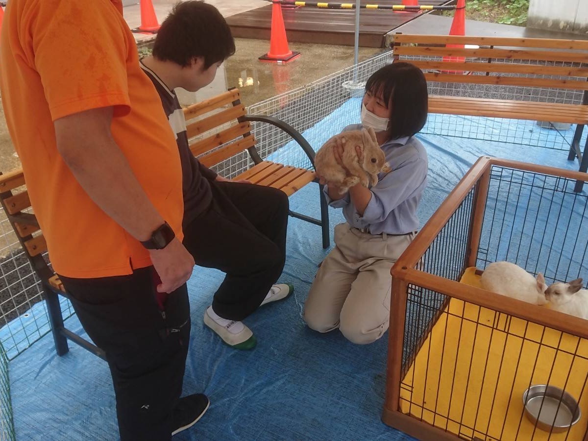 アニマルセラピー｜プチZOO｜動物飼育 移動動物園 アニマルセラピー