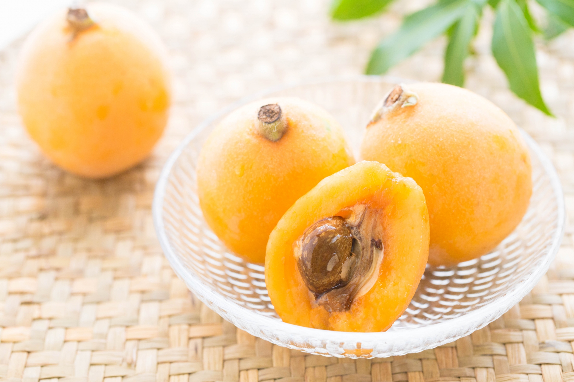 びわ(枇杷/Loquat)の甘美な歴史｜古代から現代へ続く果実の物語