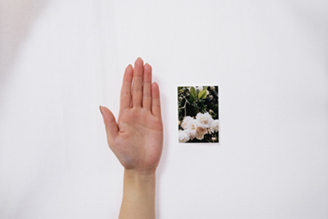 ハーフサイズプリントとアルバムのセット（ダスティグレ―）