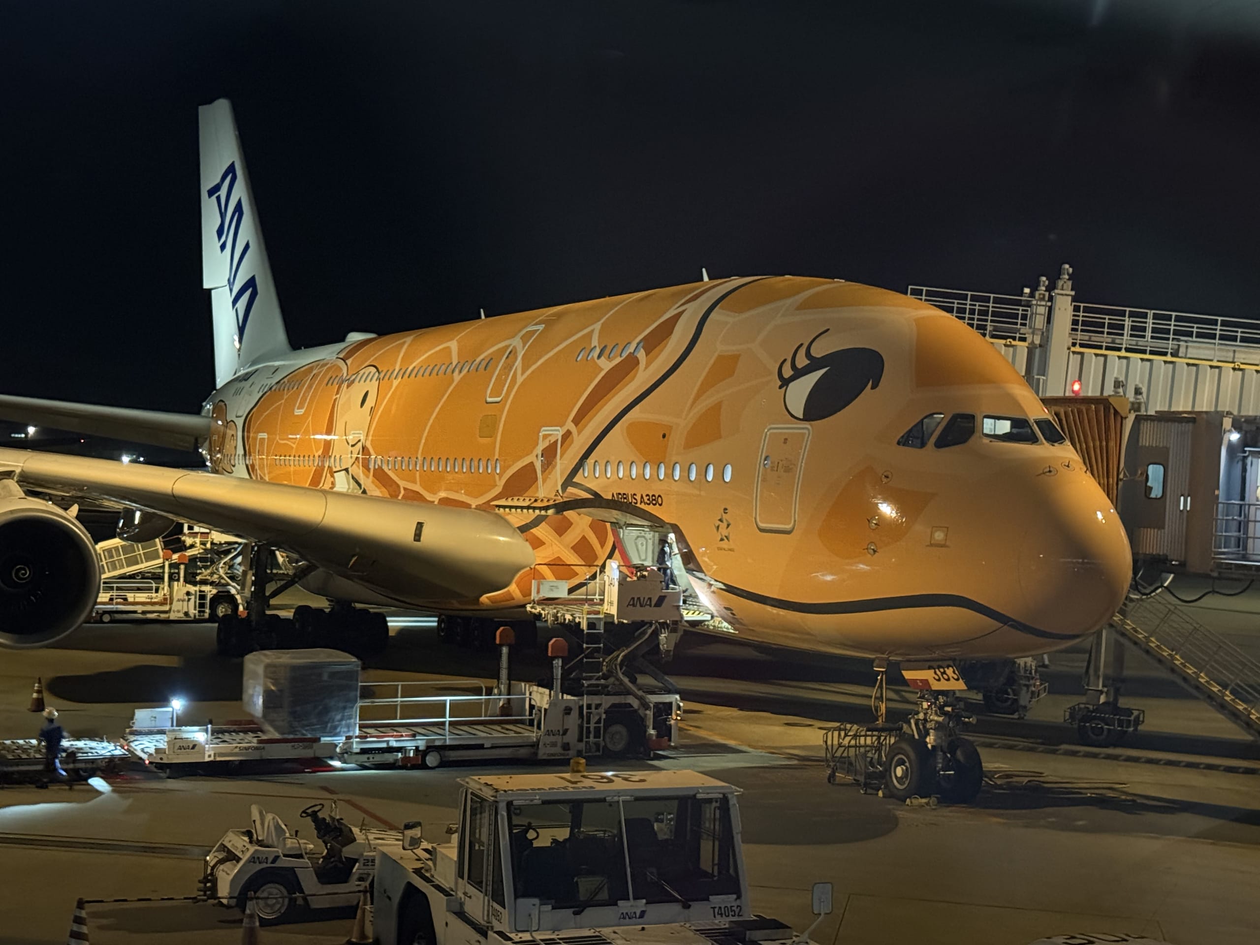 ANAハワイ ビジネスクラス搭乗記 フライングホヌと成田ラウンジ