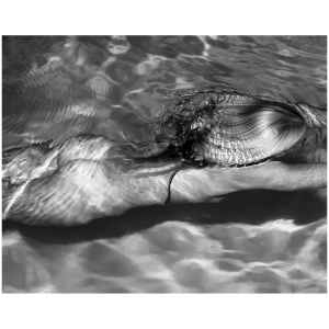 Mermaids - Photography West