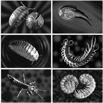 KONICA MINOLTA(コニカミノルタ)のデジタルカメラDiMAGE X21 で撮影