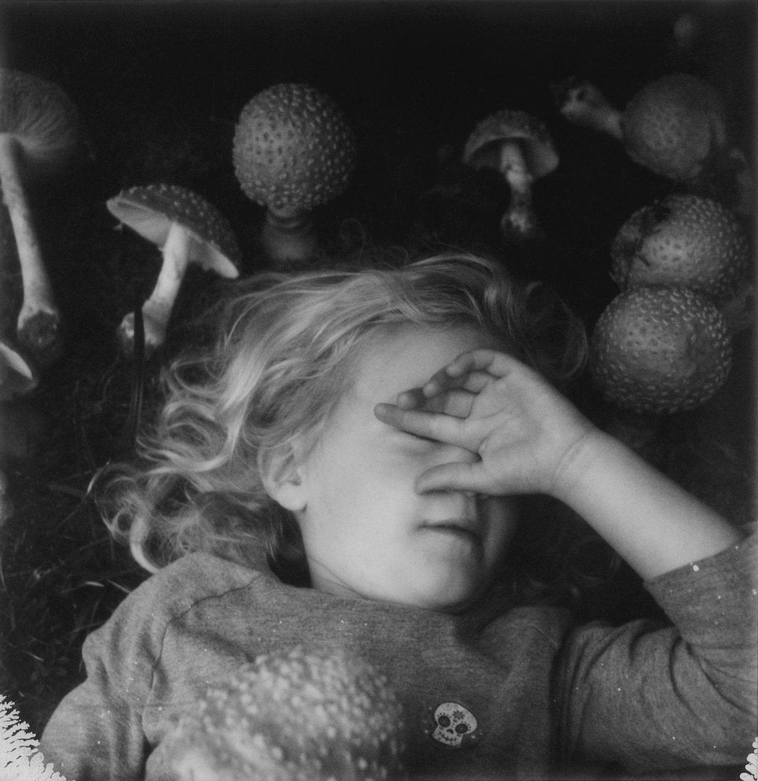 The Seraphim - Photographs by Jesse Lenz | Book review by Justin