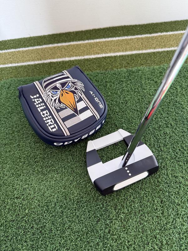 Ai-ONE Square 2 Square JAILBIRDパター