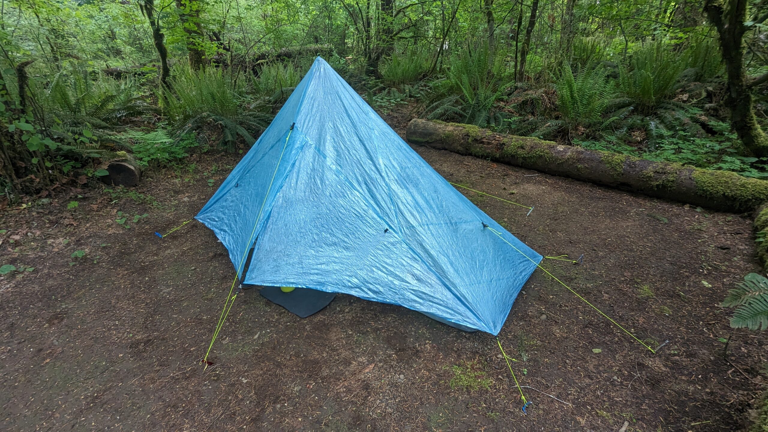 Zpacks Plex Solo Lite Tent Review - The Trek