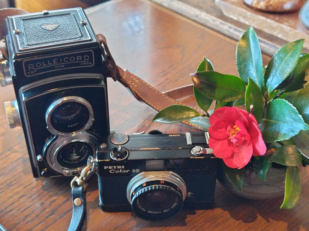 フィルム散歩】ペトリカラー35/Kodak ColorPlus 200/モノクロMARIX 400