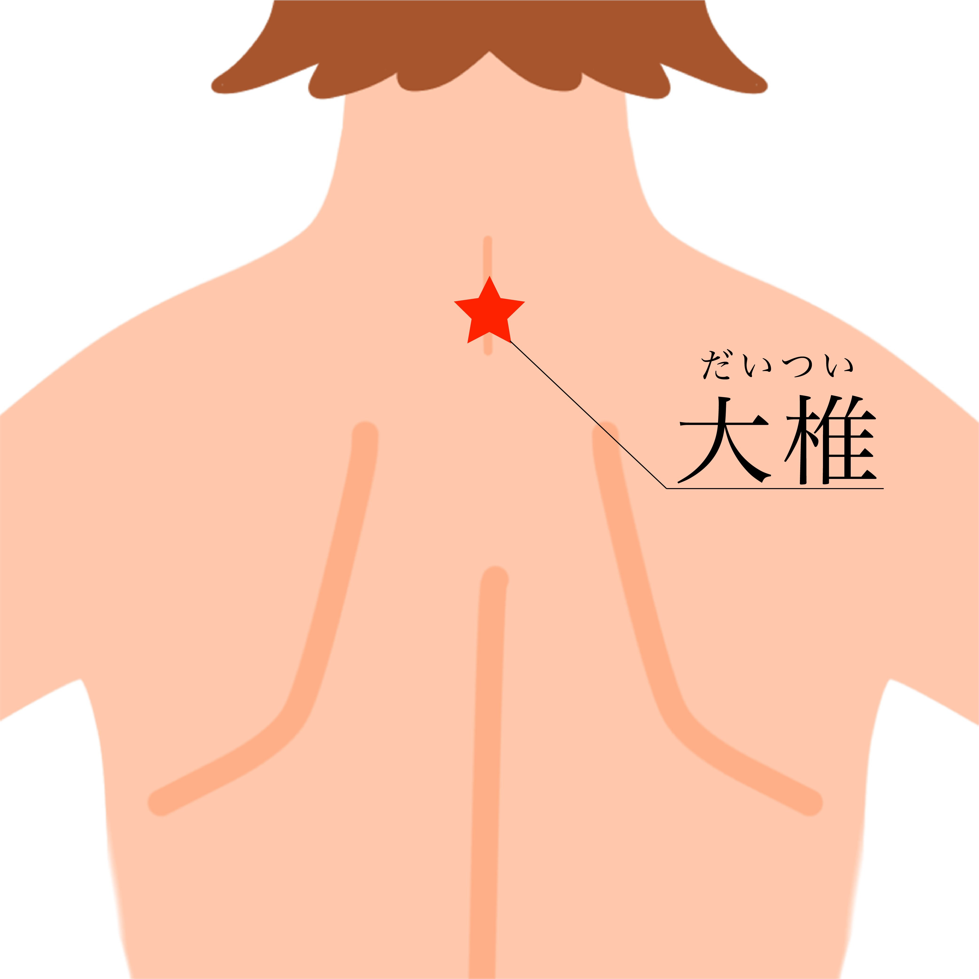 LIFEWAVE ALAVIDA＜ アラビダ ＞ | ライフウェーブパッチ等健康グッズ