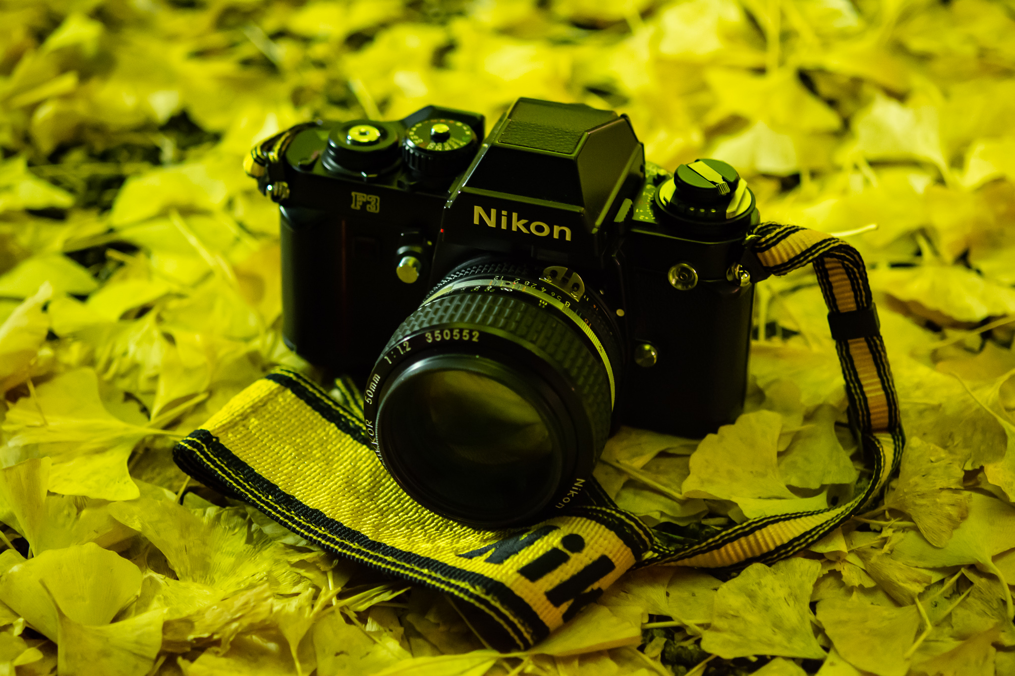F3 | AI Nikkor 50mm f/1.2S | Photo Lens [ ふぉとれんず ]