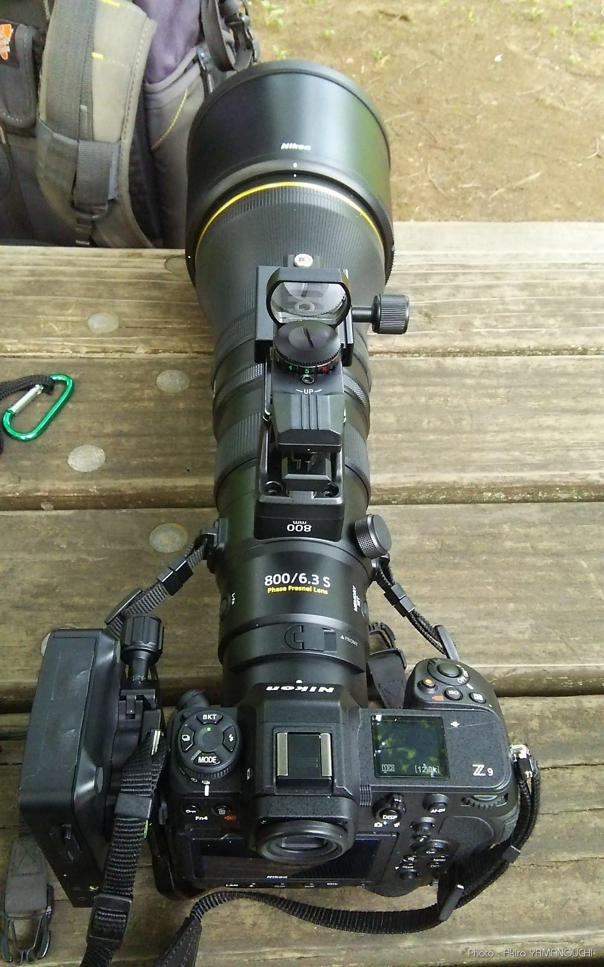 Nikon Z9＋NIKKOR Z 800mm f/6.3 VR Sによる野鳥撮影
