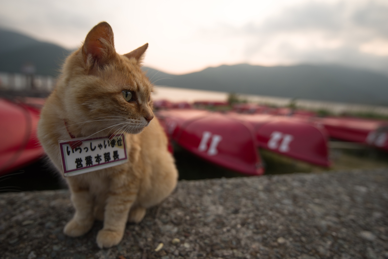 フルサイズ 広角ズームレンズ - PENTAX レンズガイド - レンズ