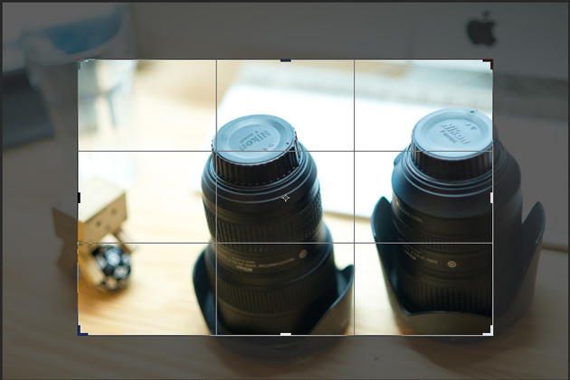 ニコン編】カンタンにチェックできる！一眼レフカメラ選びのポイント4