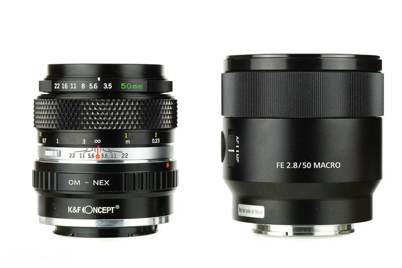 Review: Olympus OM Zuiko Macro 50mm 1:3.5 - phillipreeve.net