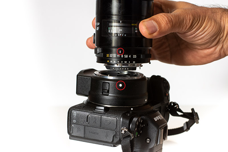 Review: Tamron SP AF 90mm F2.5 - phillipreeve.net