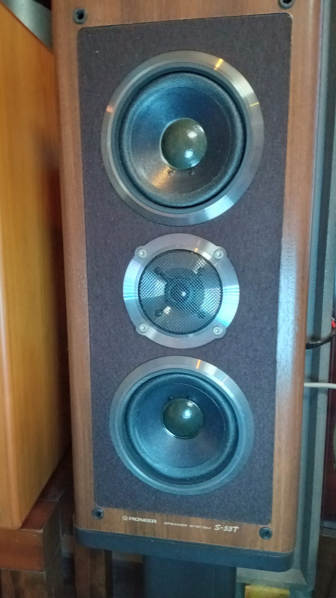 PIONEER S-55 TWIN捕獲 ＆ バイク追加予定 | Phil-M Community