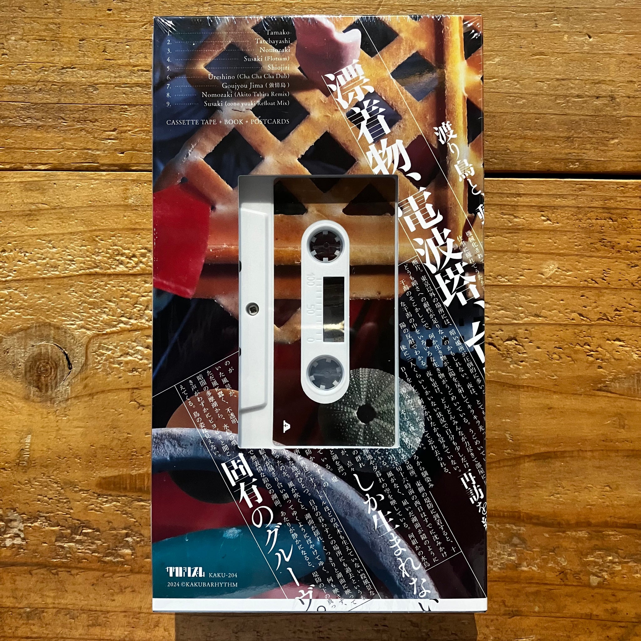 VIDEOTAPEMUSIC - Revisit(CASSETTE+BOOK) – pianola records