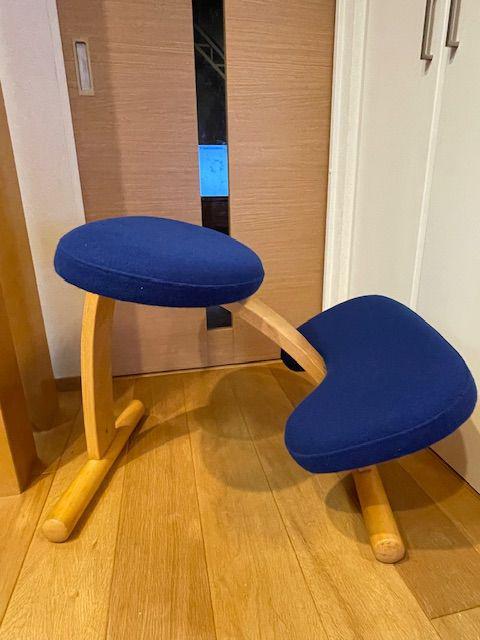 Rybo Balans EASY バランスイージー （ イス・チェア）の買取価格 （ID