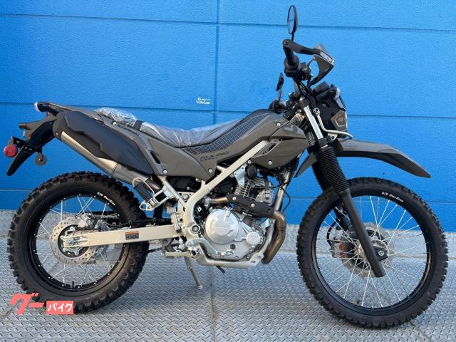 カワサキ（KAWASAKI）2017年 Ninja ZX-10RR・新登場のカタログ情報