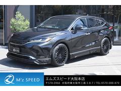 ハリアー コンプリートカーの中古車一覧(1～3件)【グーネット】