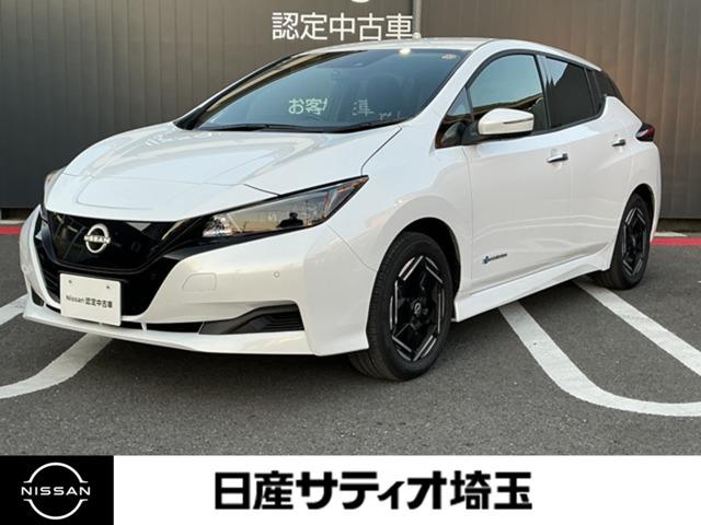日産 リーフ 2017年モデル Xの価格・性能・装備・オプション（2021年4