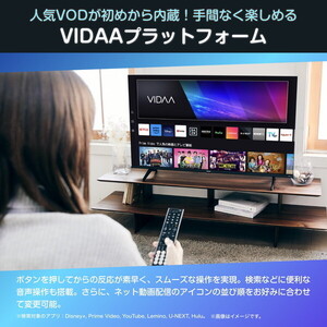 Hisense 43E6N [43V型 地上・BS・110度CSデジタル 4K内蔵 液晶テレビ