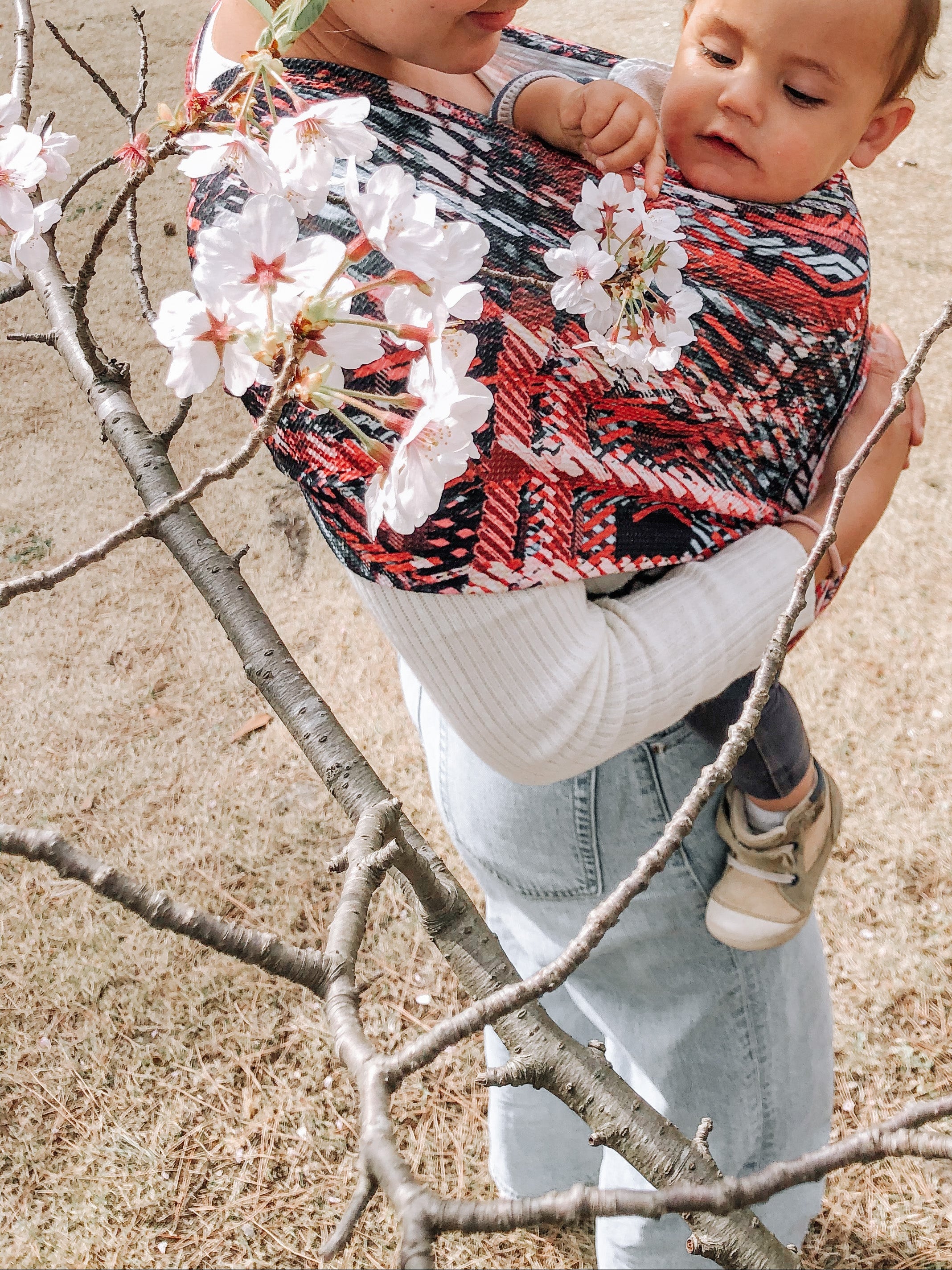 取扱説明書 – Pikimama