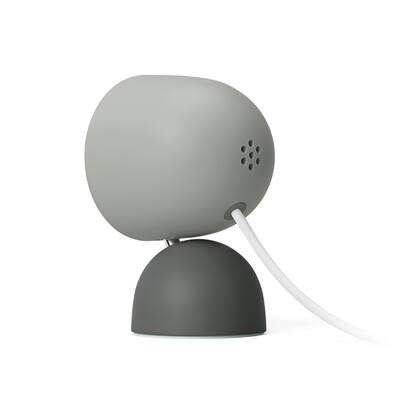 Google Nest Cam Indoor (wired, 3rd gen) Latest Model 2K Video and