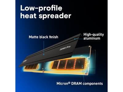 Crucial Pro 48GB (2 x 24GB) DDR5 5600 (PC5 44800) XMP 3.0 & AMD