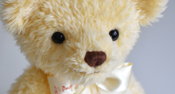 2025 春夏 - 身長体重ベア「メモリアルベア」／ポッシュ・シゴーニュ