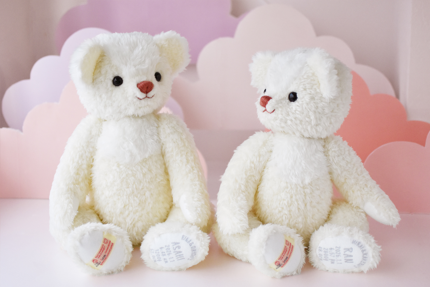 2026 春夏 - 身長体重ベア「メモリアルベア」／ポッシュ・シゴーニュ