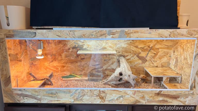 自作木製ケージ】フトアゴ用ケージをOSB材で自作！パート3