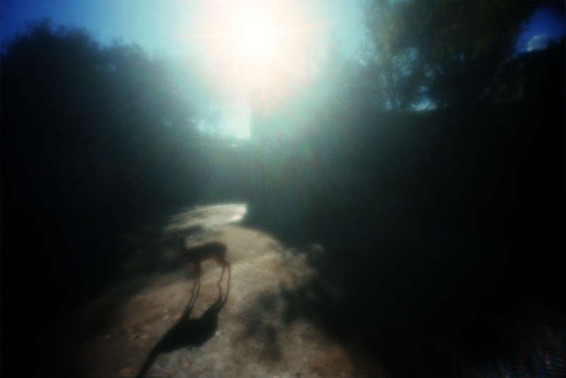 The Sun by Noguchi Rika |