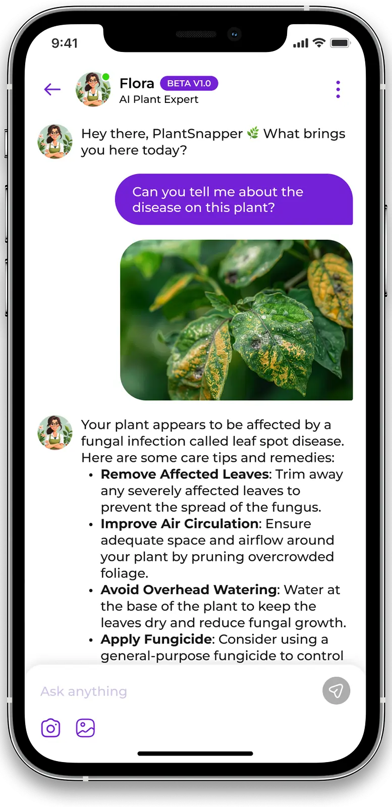 PlantSnap - Plant Identifier App, #1 Mobile App for Plant