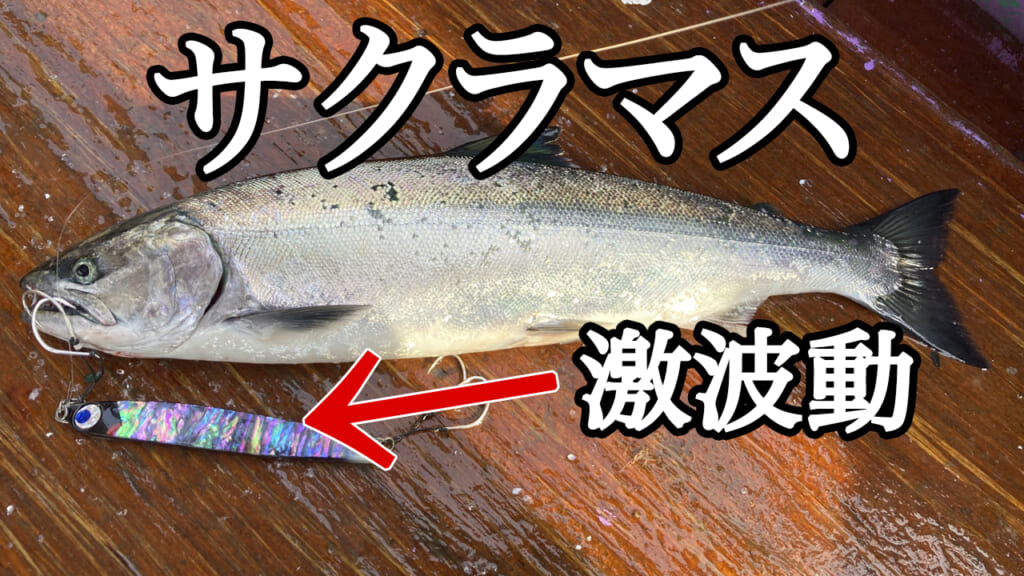 ≪サクラマスジギングの異端的本命ジグ≫『アイヴ・バーチカル』解説