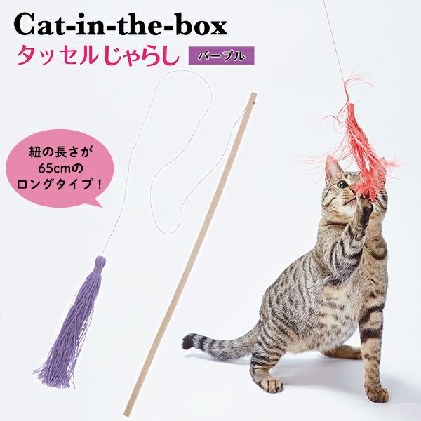 10%OFF！猫の日特集】Add.Mate アドメイト cat in the box キャット