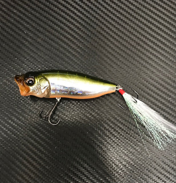 IMG_7640_1024x1024.jpg?v=