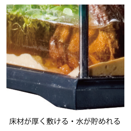 グラステラリウム3045 PT2602 | ジェックス株式会社