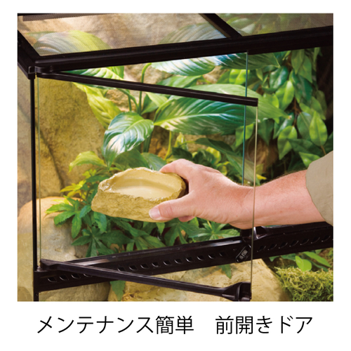 グラステラリウム4545 PT2605 | ジェックス株式会社