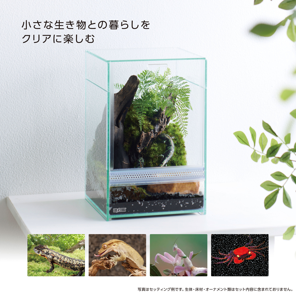 レプテリア クリアネオフィット 180 | ジェックス株式会社