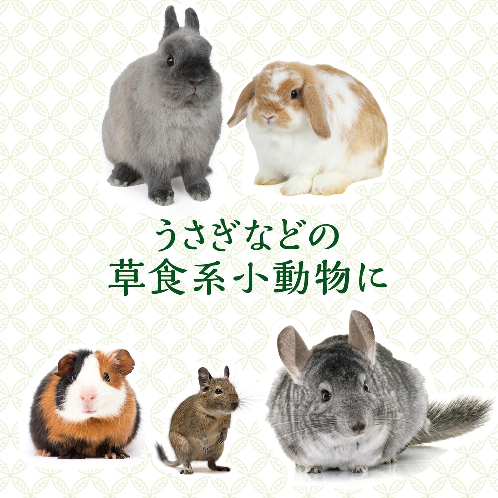 旬牧草 イタリアンライグラス1kg | ジェックス株式会社