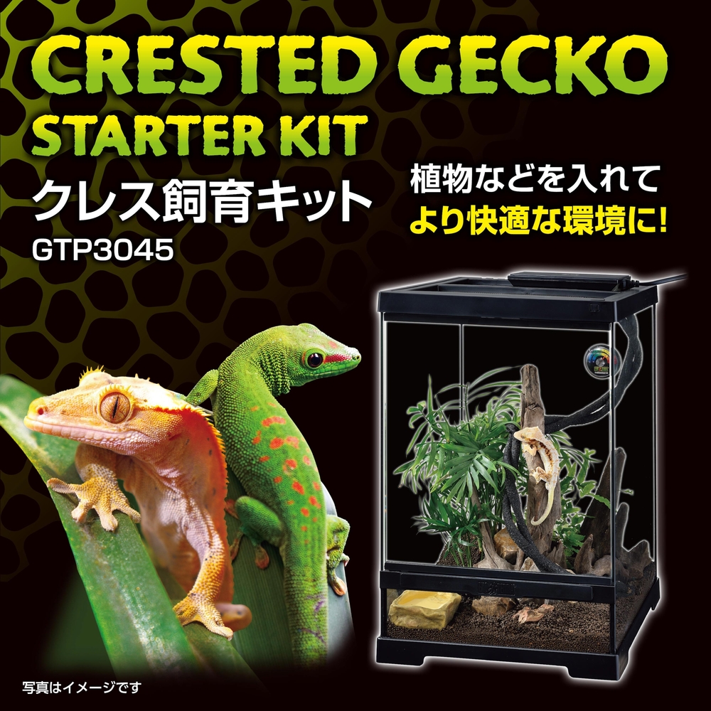クレス飼育キット GTP3045 | ジェックス株式会社