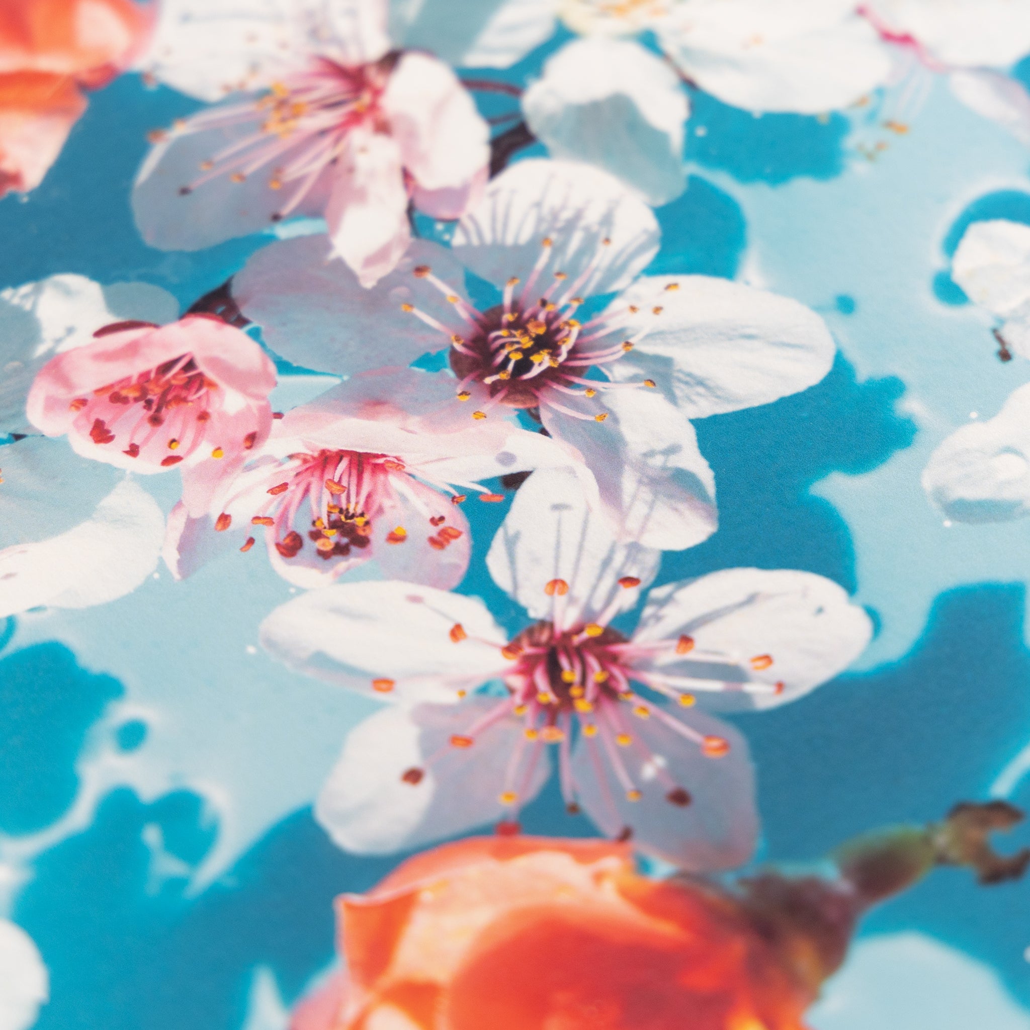 DEEP PV A3ノビ かきた 10枚 – products.takeopaper.com