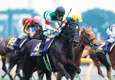 未来に語り継ぎたい名馬 JRAレーシングビュアー