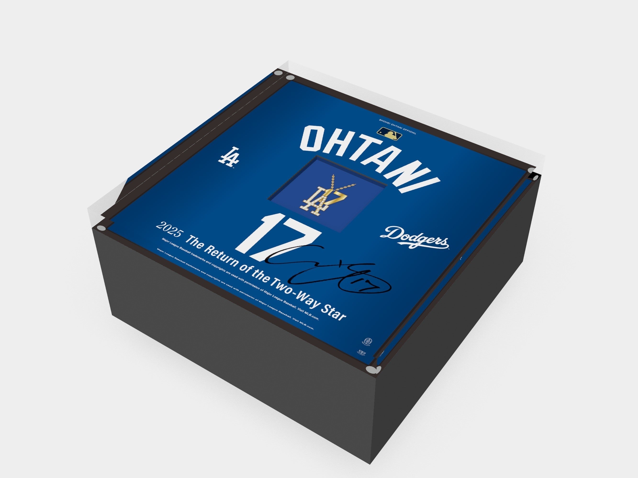 ロサンゼルス・ドジャース 大谷翔平選手 2025シーズン 二刀流復活記念