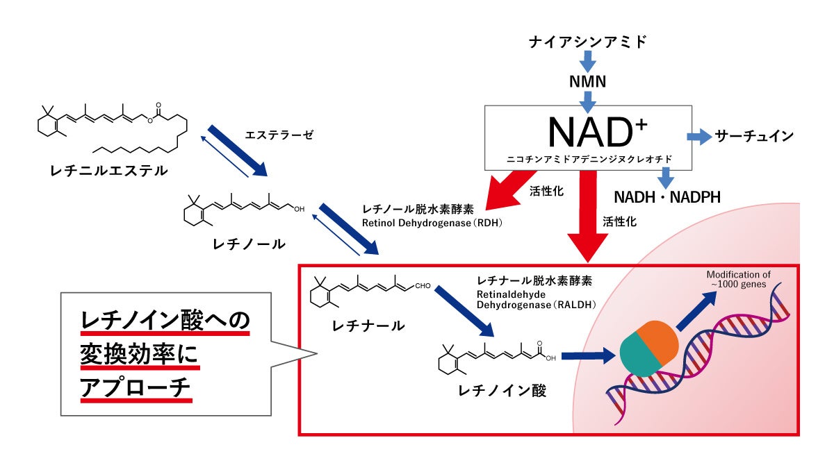 医療機関専売スキンケアブランド「CLIGRAM （カリグラム）」より、新