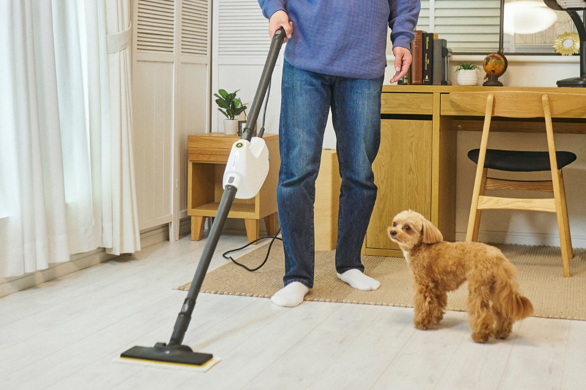 スチームクリーナーの概念を変える！手軽さを追求したハンディ