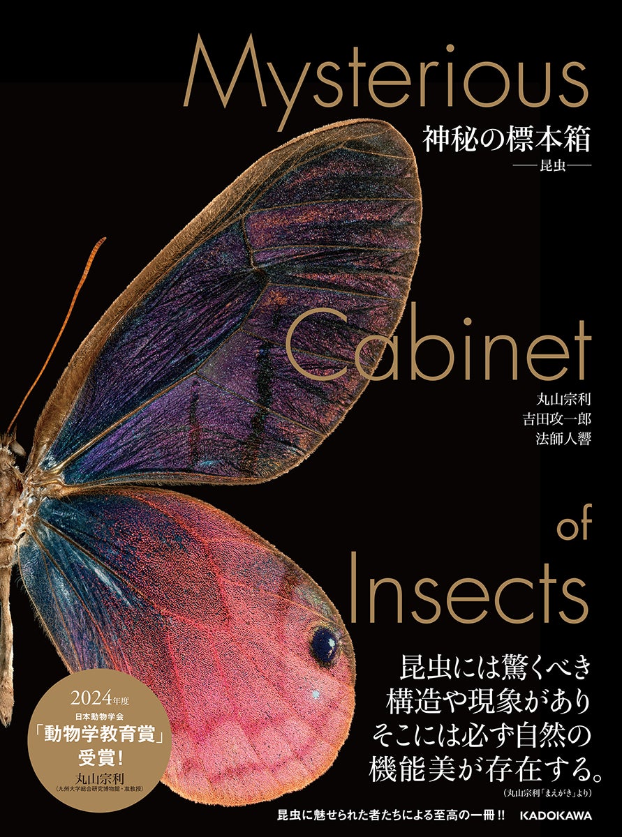 昆虫の超美麗写真集『神秘の標本箱 ‐昆虫‐』発売 2024年度「動物学教育