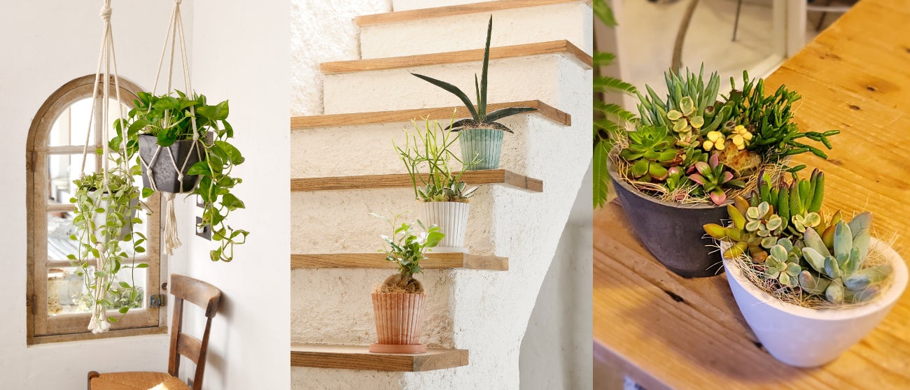 おうちのインテリアグリーンをこだわりの高い質感でワンランク上に演出