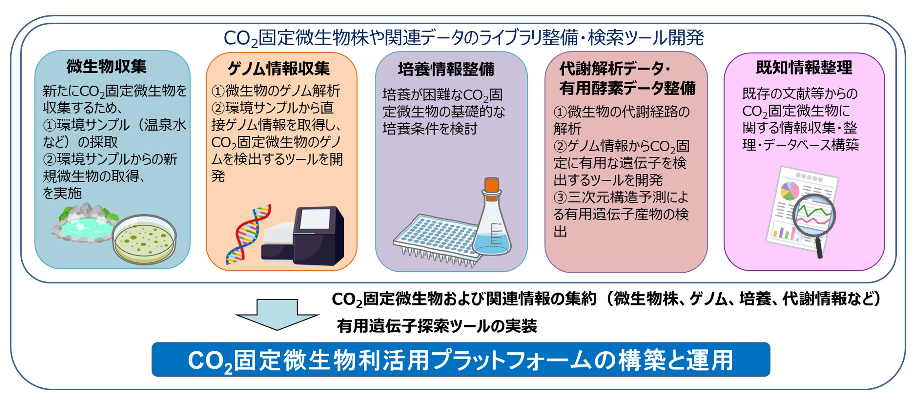 二酸化炭素（CO2）を直接利用する微生物によるバイオものづくりの促進